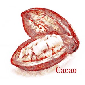 cocoa